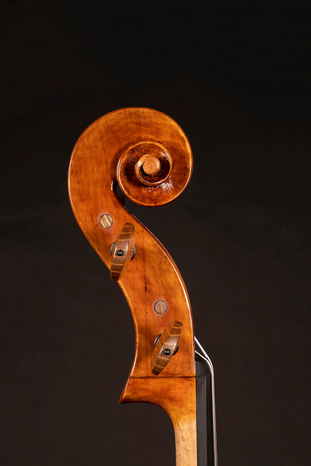 Vettori Paolo Cello Mod. Guarneri 'Filios Andreae' 2020