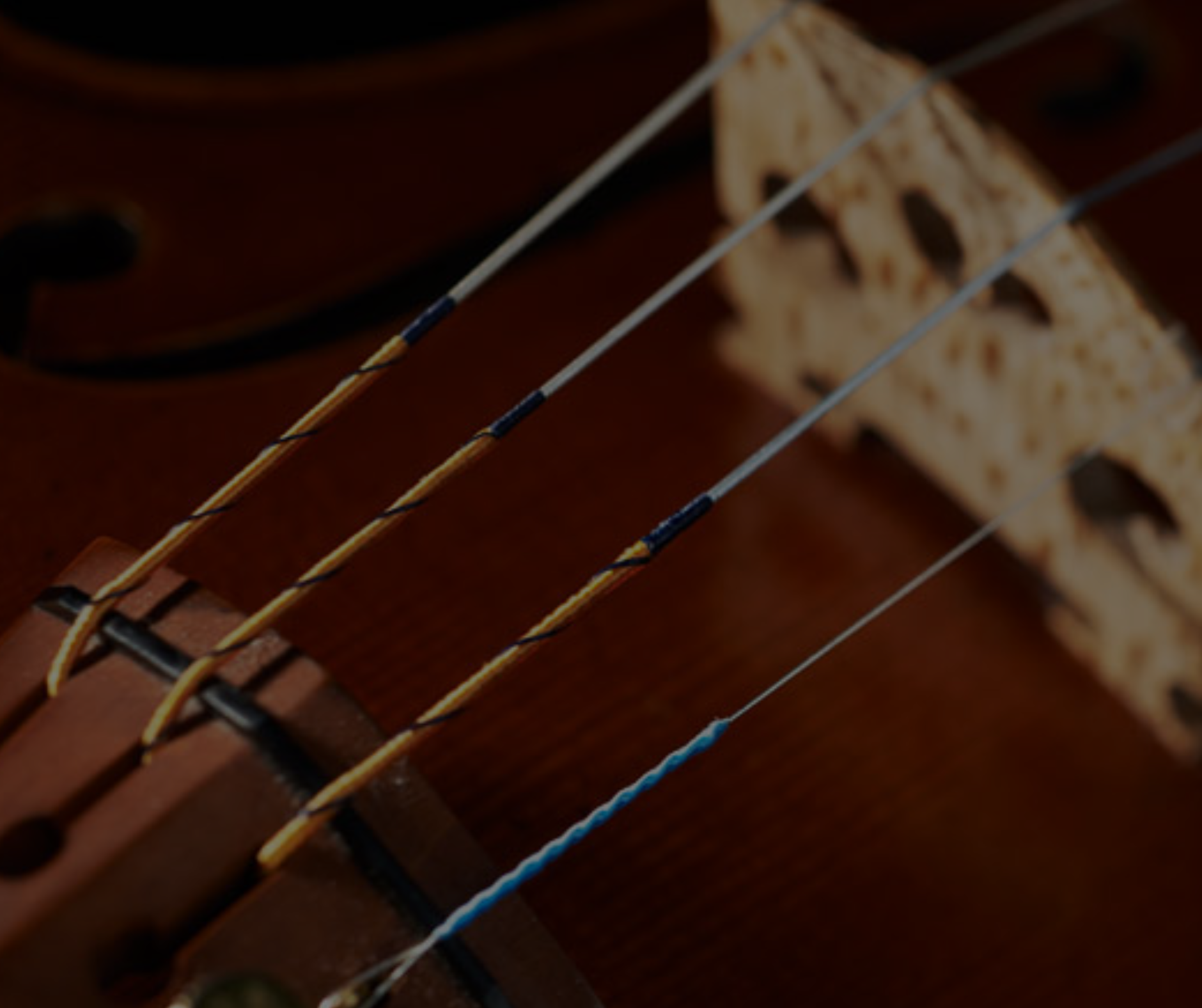 New Arrivals - Latest String Instruments & Accessories | Gramercy Music ...