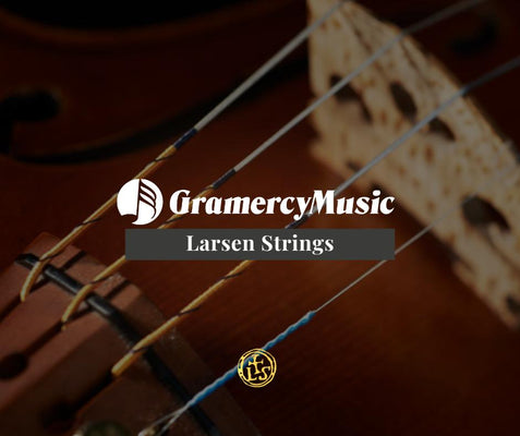 Larsen Strings
