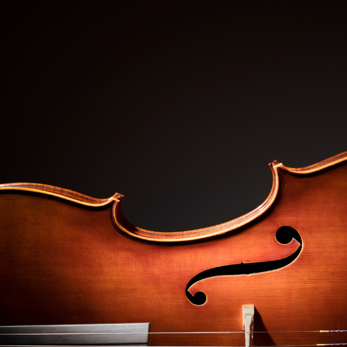 Unbeatable Deals on Musical Instruments and Accessories | Gramercy ...