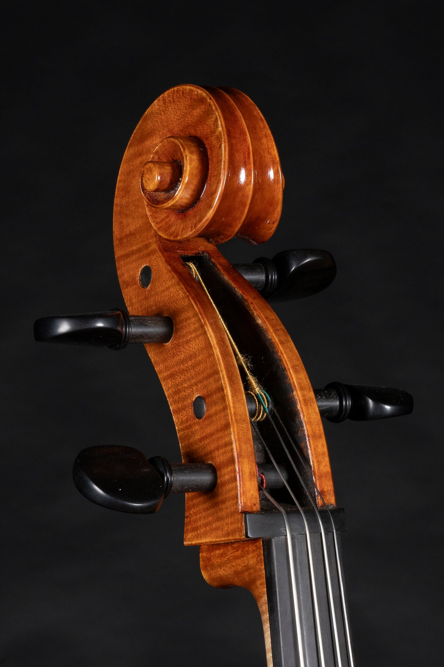 Vettori Dario Cello Mod. Guarneri "Filius Andreae" Grande, Firenze Italy 2024