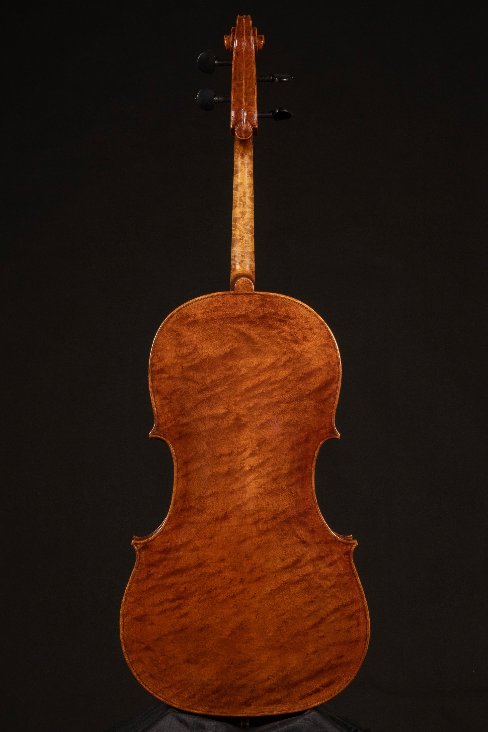 Paolo-Vettori-Cello-Mod-GB-Guadagnini-Benvenuto-Cellini-Firenze-Italy-2022-Back