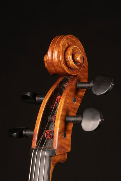 Paolo-Vettori-Cello-Mod-GB-Guadagnini-Benvenuto-Cellini-Firenze-Italy-2022-Closeup