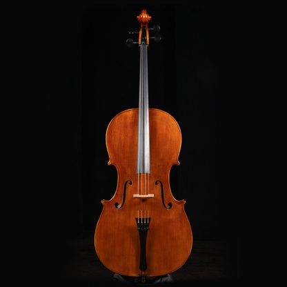 Vettori-Dario-Cello-Modello-A-Stradivarius-Bass-Of-Spain-Firenze-Italy-2024-2