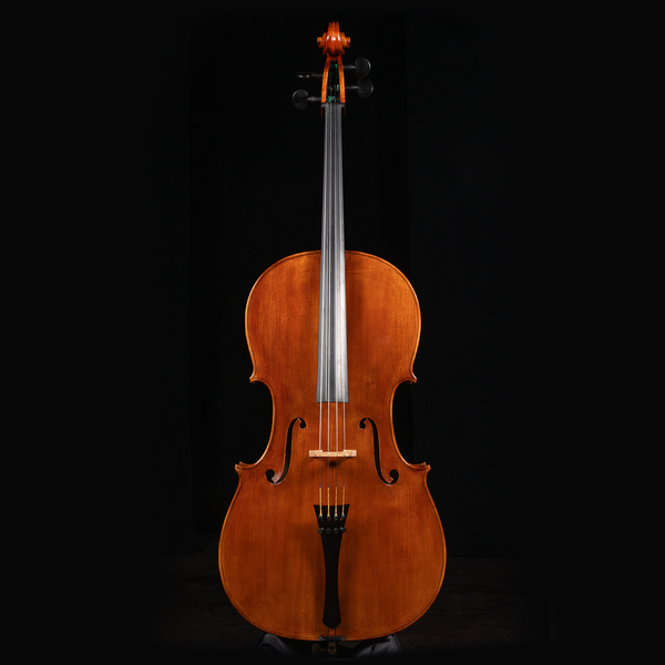 Dario Vettori Instruments - Unparalleled Italian Mastery