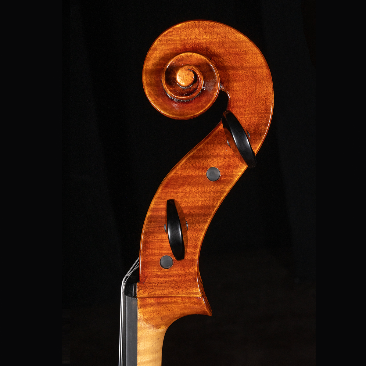 The Dario Vettori Dario 2024 Cello Model Antonio Stradivarius