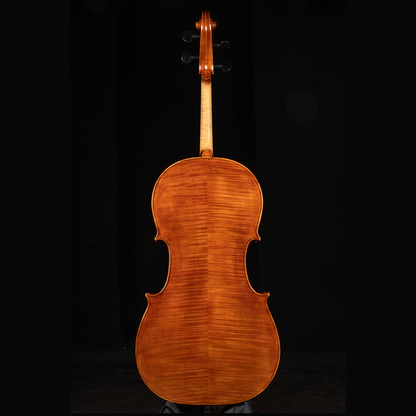 Vettori-Dario-Cello-Modello-A-Stradivarius-Bass-Of-Spain-Firenze-Italy-2024-4