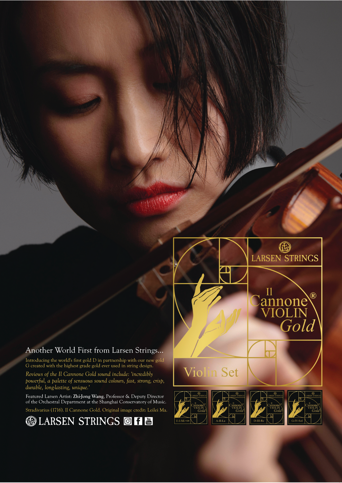 Il Cannone LARSEN Virtuoso Violin Strings Medium Loop Set ...