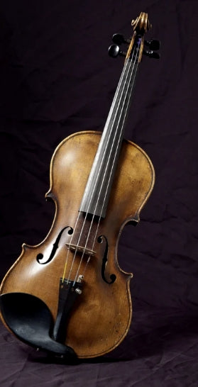 violin