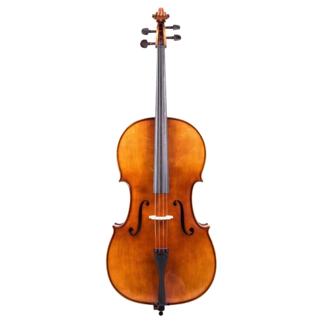 Unleash the captivating power and warmth of the Antonin Dvorak Cello ...