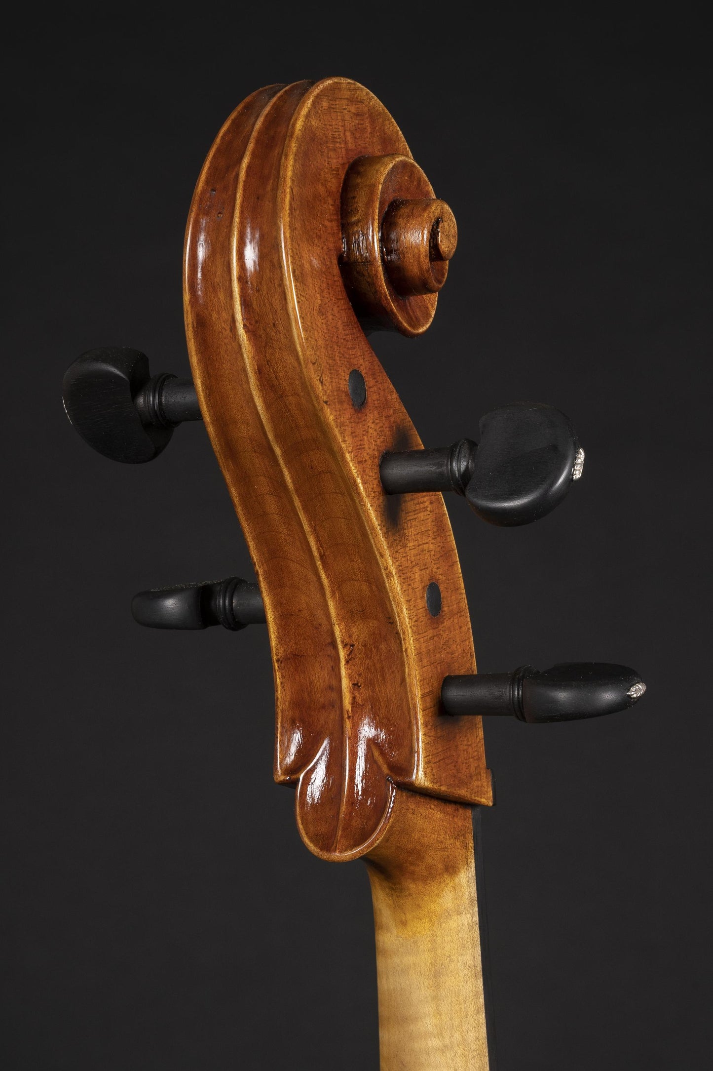 Vettori Paolo Cello Mod. Guadagnini "Masolino" 2021