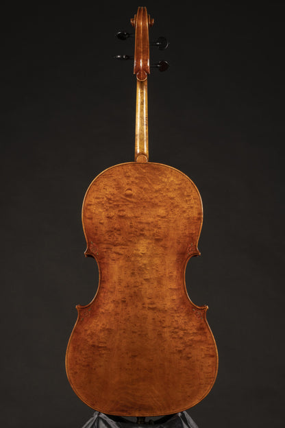 Vettori Paolo Cello 2021 Mod. Andrea Amati "Rose"
