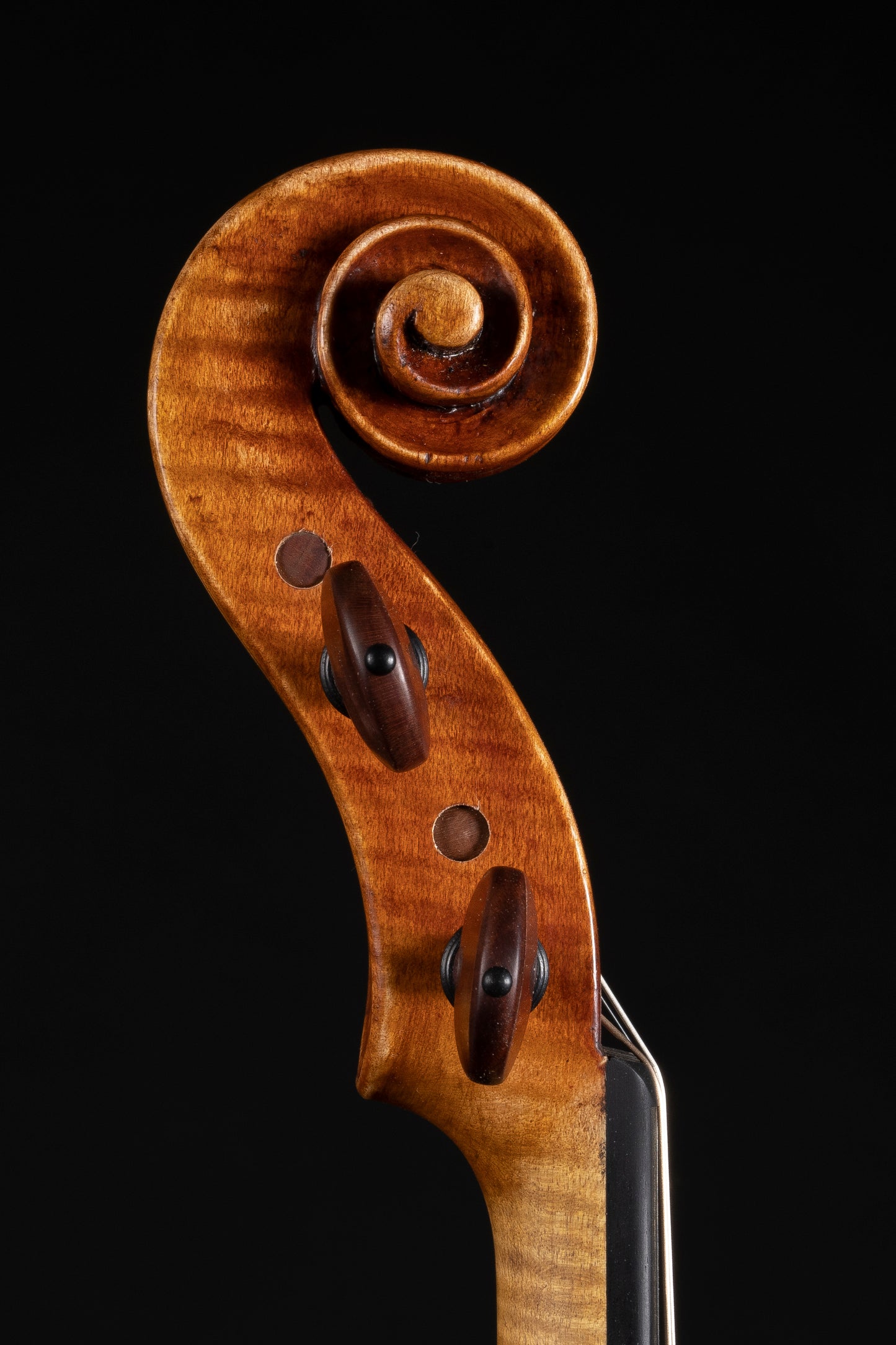 Vettori Paolo Violin Mod. Testore "Leonardo Da Vinci" 2022