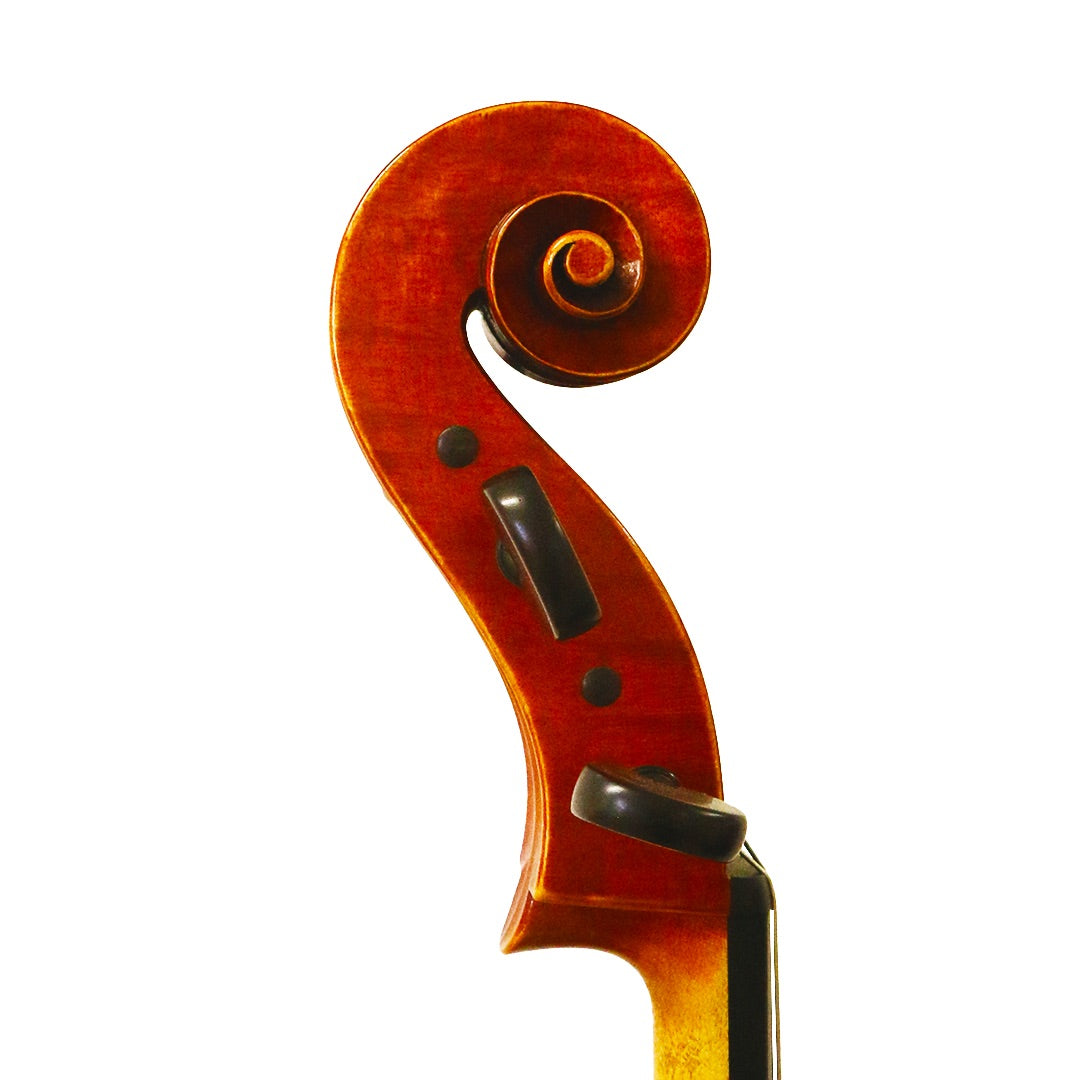 Eric-Lourme-Cello-Mod-Nicolo-Amati-Anno-2015-Paris-France-Closeup