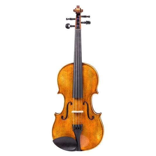 Lothar Semmlinger M123S Violin