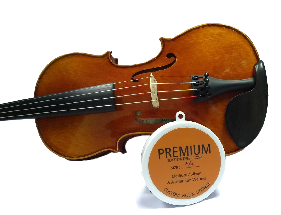 Premium Violin String Medium Set