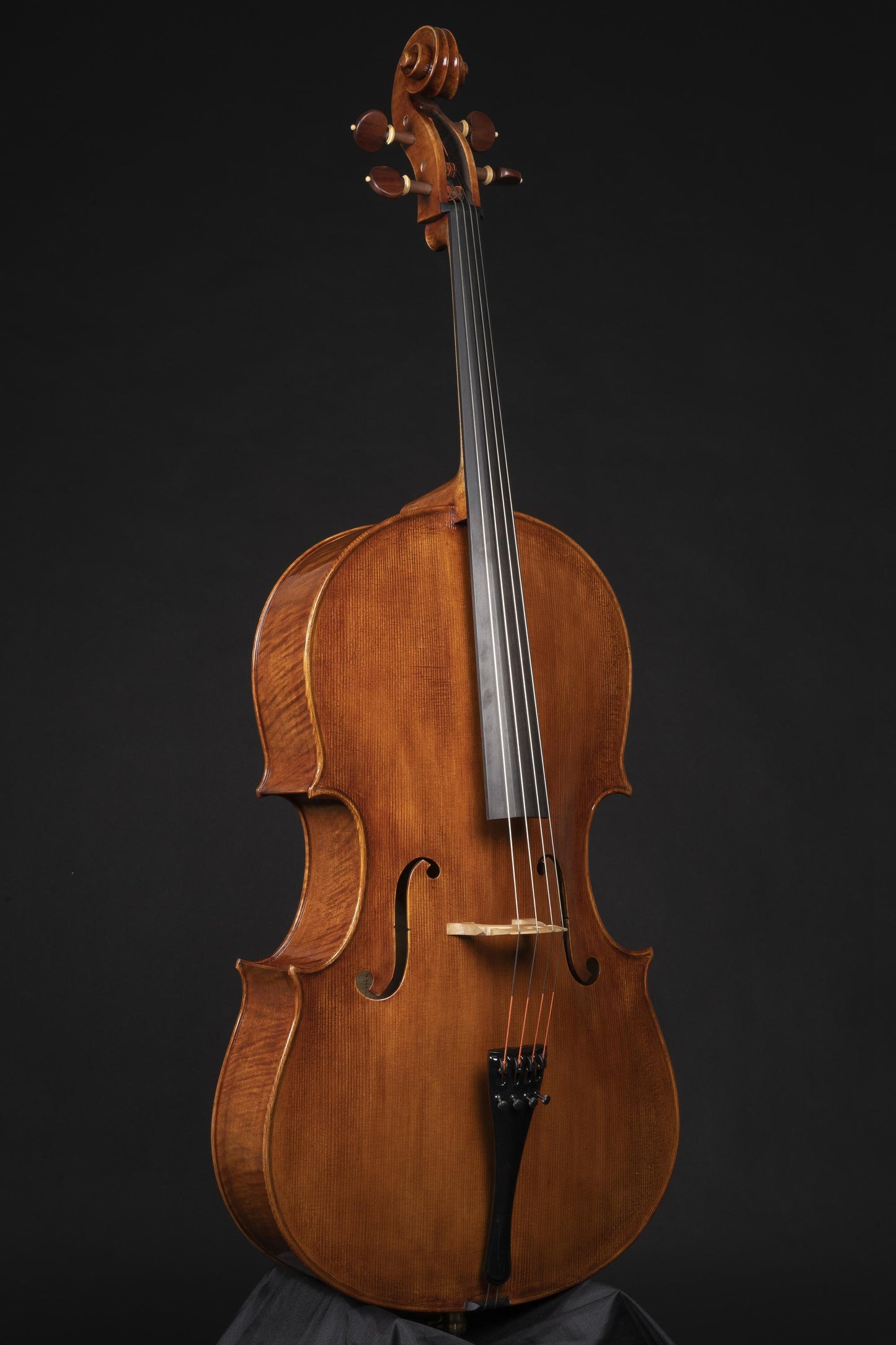 Vettori Paolo Cello 2022 Mod. Montagnana Sleeping Beauty "Leon Battista Alberti" 2022