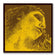 Pirastro Evah Pirazzi Gold Violin "E" Medium (Loose)