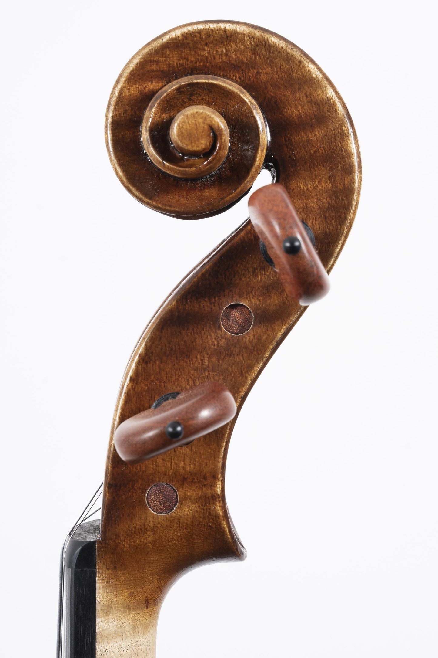 Vettori Dario Violin Mod. Antonio Stradivari "Phlegon" 2019