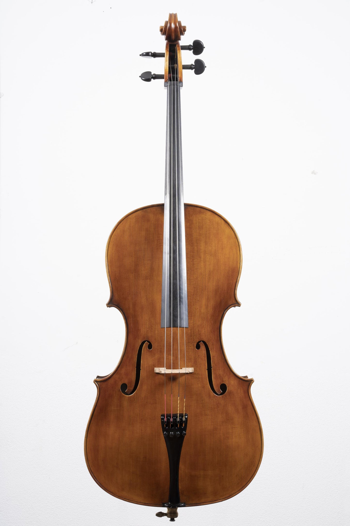 Vettori Lapo Cello Mod. J.B. Guadagnini 2019