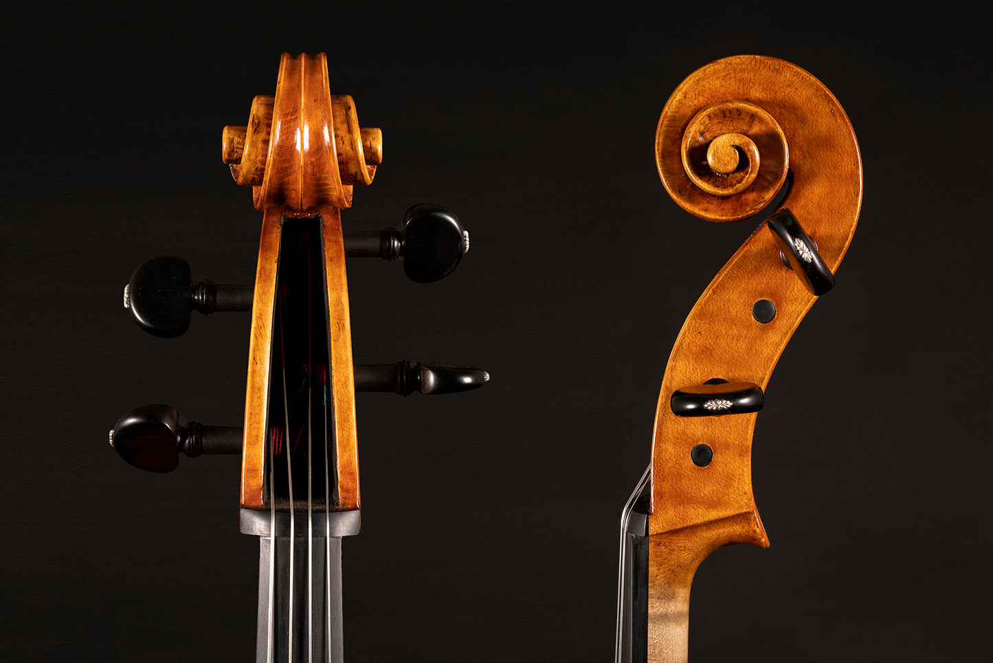 Vettori Paolo Cello Mod. Jb Guadagnini "David" Firenze 2020