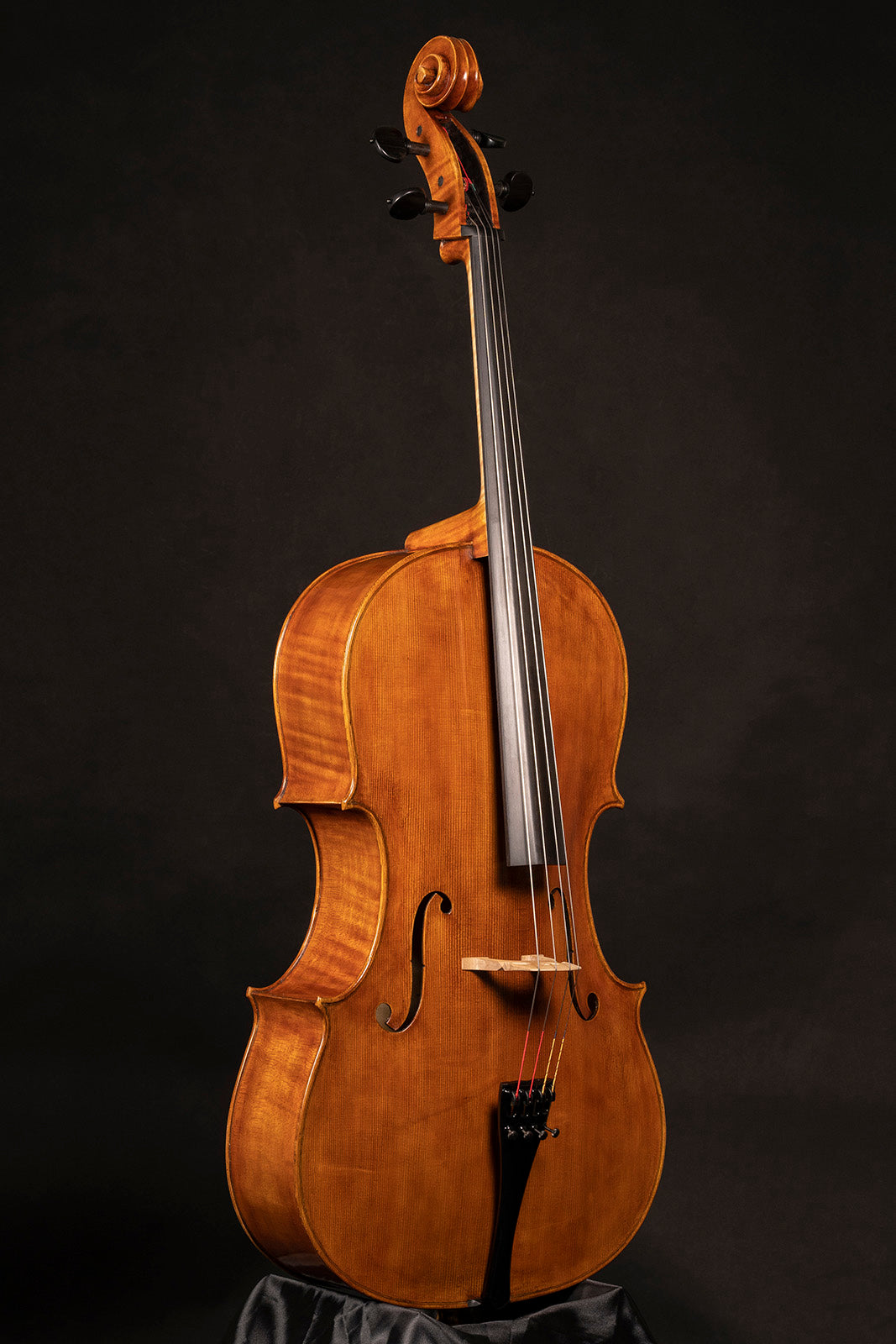 Vettori Paolo Cello Mod. Pietro Guarneri Da Mantova "Monna Lisa" 2021