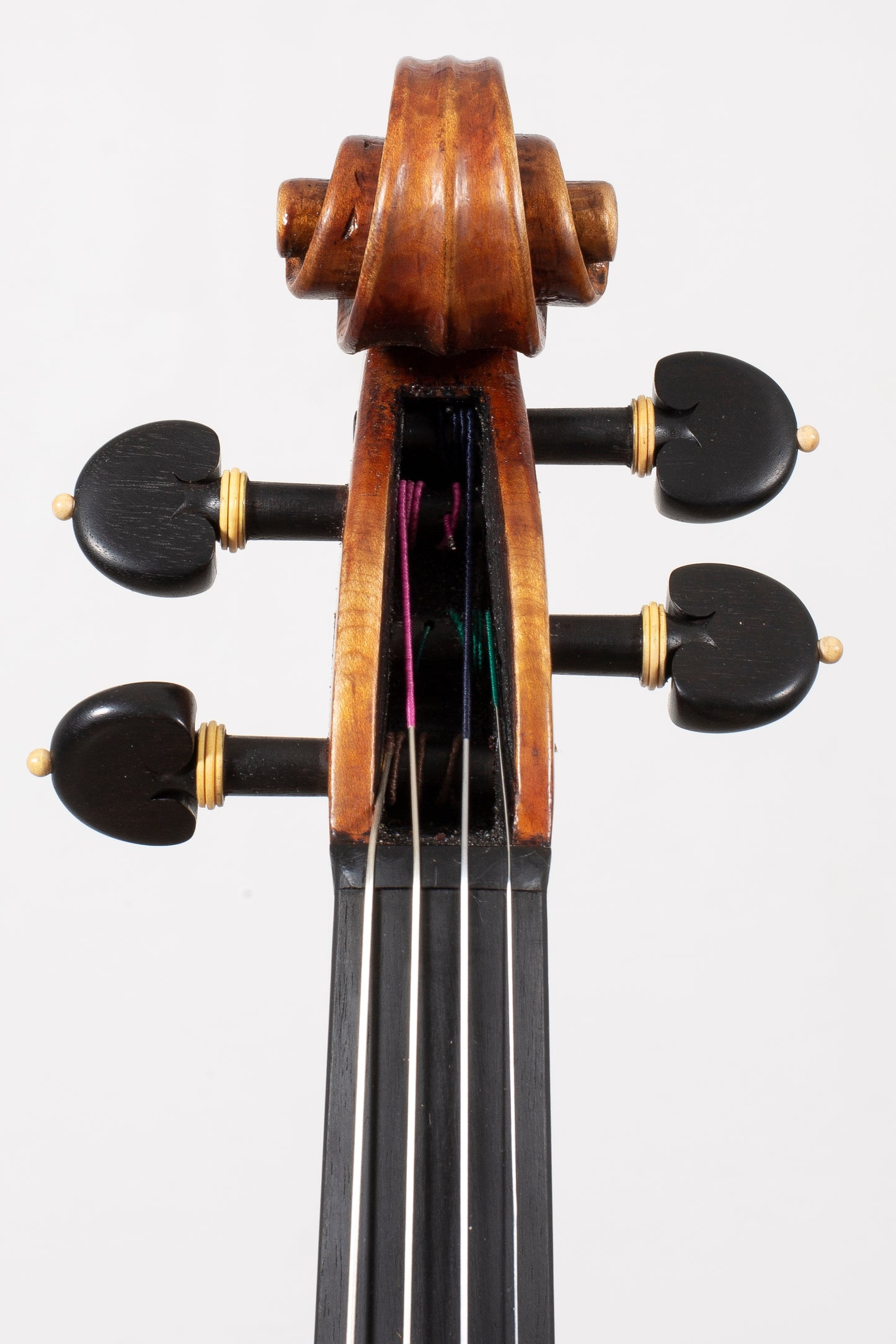 Vettori Paolo Violin Mod.Guarneri Del Gesu Cannone 2018