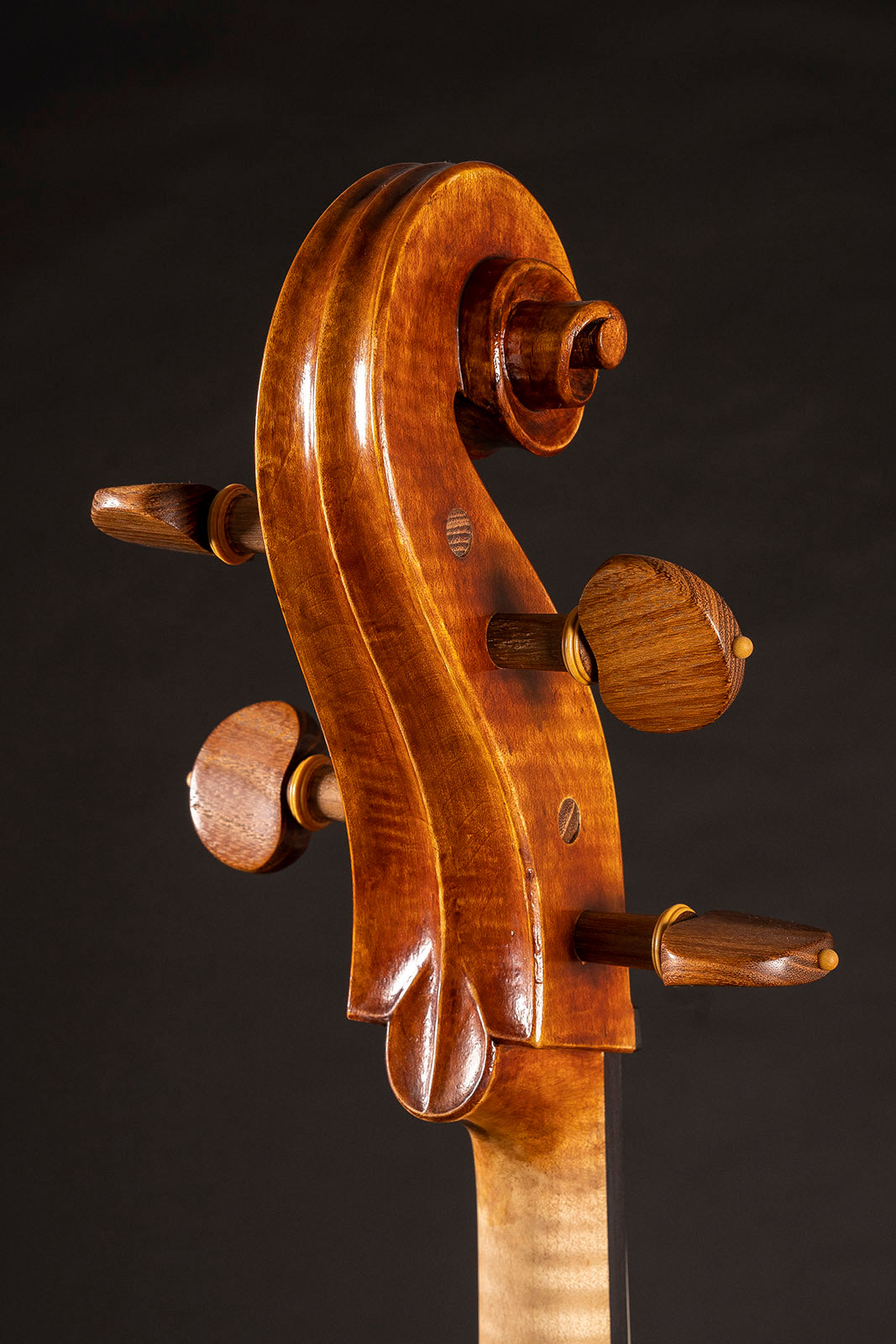 Vettori-Dario-Cello-2020-Mod-Guadagnini-Geringas-Closeup-2