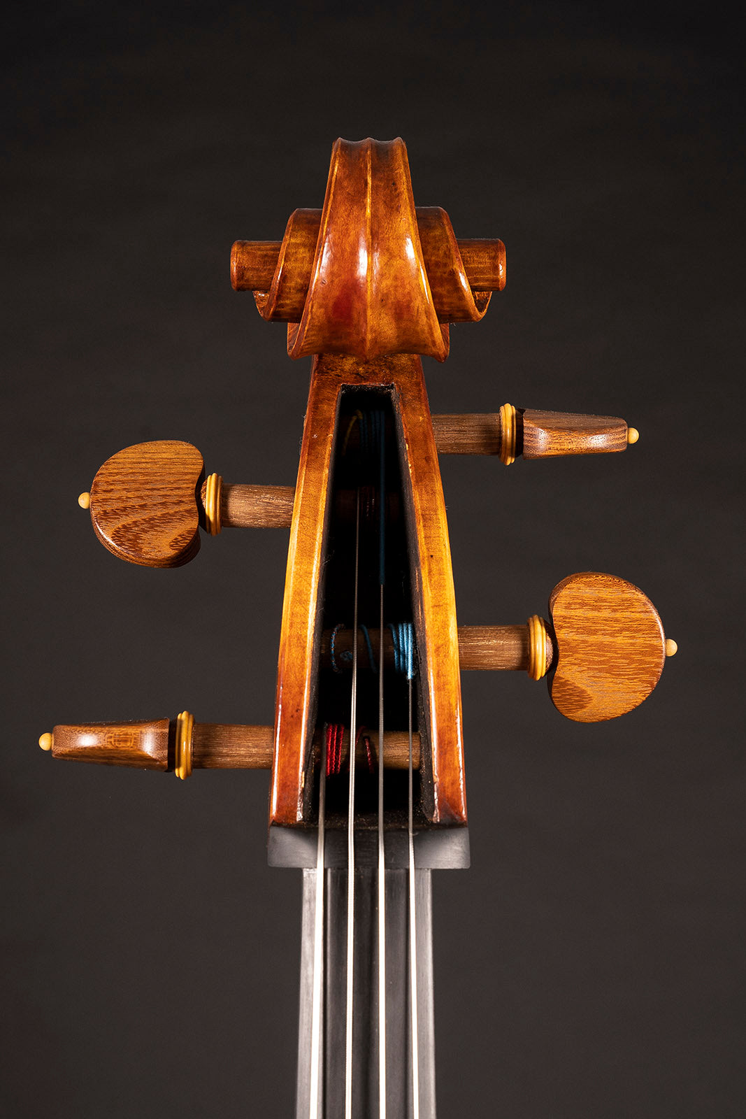 Vettori-Dario-Cello-2020-Mod-Guadagnini-Geringas-Closeup