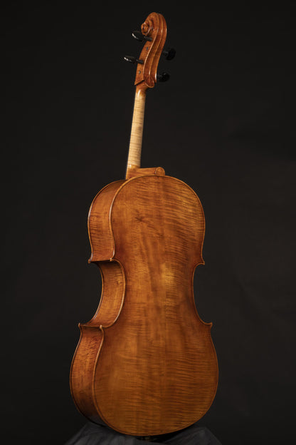 Vettori-Dario-Cello-2021-Mod-Guadagnini-Rostropovich-Monte-Giovo-back