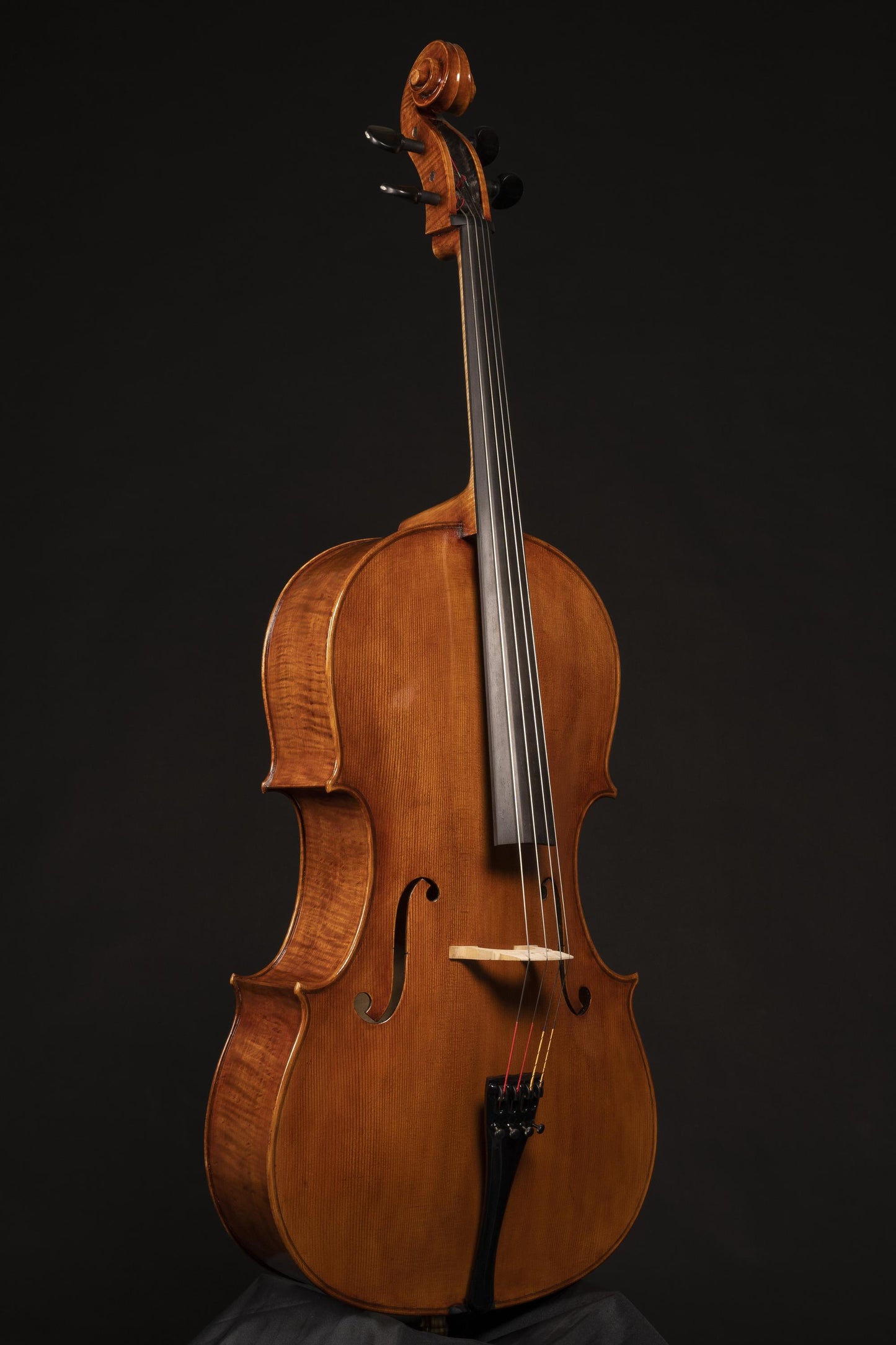 Vettori-Dario-Cello-2021-Mod-Guadagnini-Rostropovich-Monte-Giovo-front