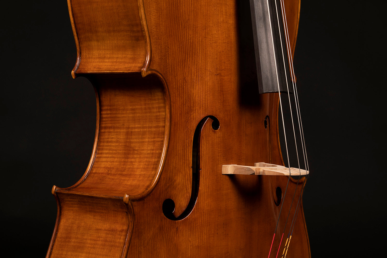 Vettori-Dario-Cello-Mod-Domenico-Busan-Venezia-1760-1770-Closeup