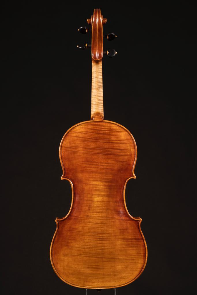 Vettori-Lapo-Viola-2009-Model-Pietro-Guarneri-Da-Venezia-Back