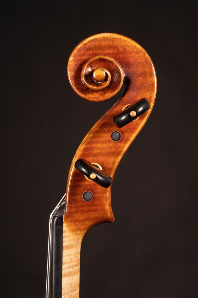 Vettori-Lapo-Viola-2009-Model-Pietro-Guarneri-Da-Venezia-Closeup