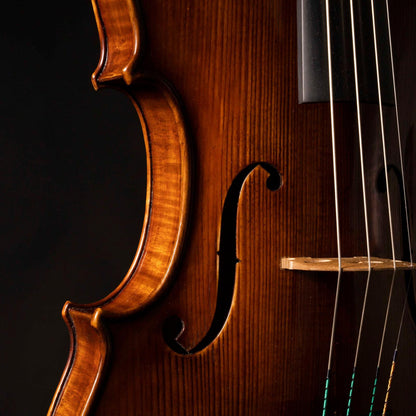 Vettori-Lapo-Viola-Mod-Pietro-Guarneri-Da-Mantova-Kira-Firenze-2020-Closeup-3