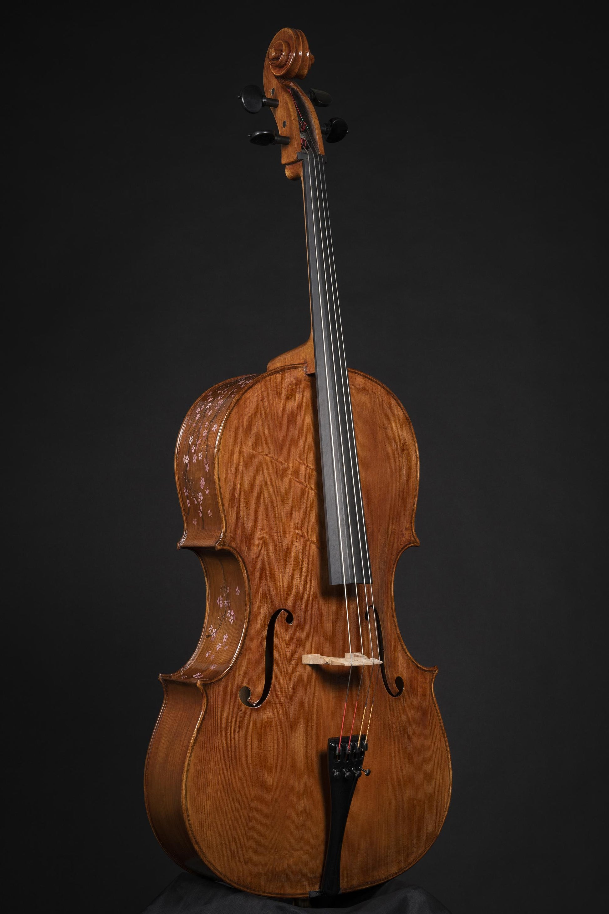 Vettori-Paolo-Cello-2022-Mod-Guadagnini-Sakura-front