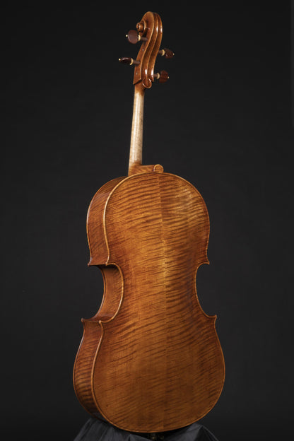 Vettori-Paolo-Cello-2022-Mod-Montagnana-Sleeping-Beauty-Leon-Battista-Alberti-2022-back