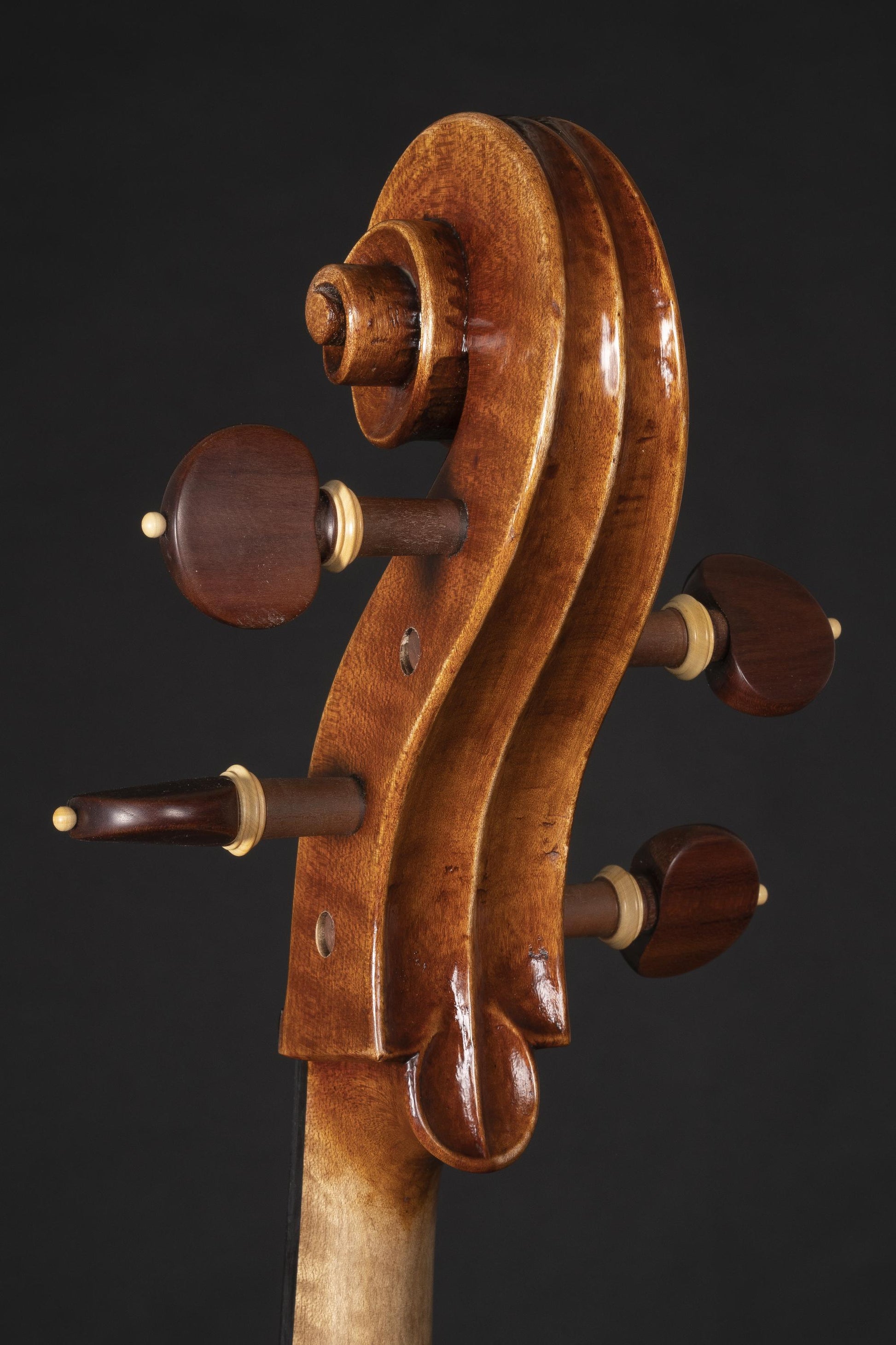 Vettori-Paolo-Cello-2022-Mod-Montagnana-Sleeping-Beauty-Leon-Battista-Alberti-2022-closeup