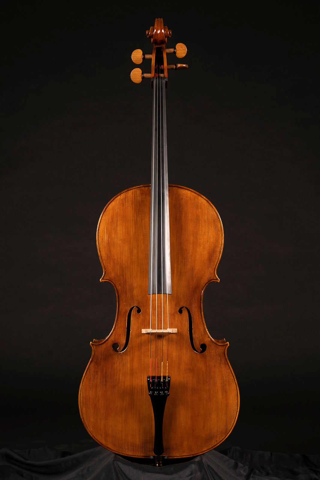 Vettori-Paolo-Cello-Mod-Guarneri-Filios-Andreae-2020-Front