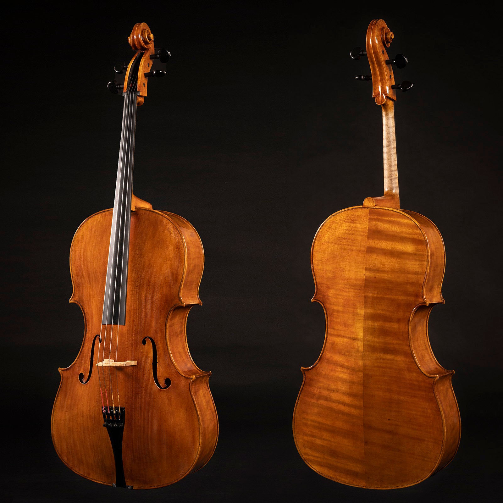 Presenting the Paolo Vettori Cello, a magnificent creation