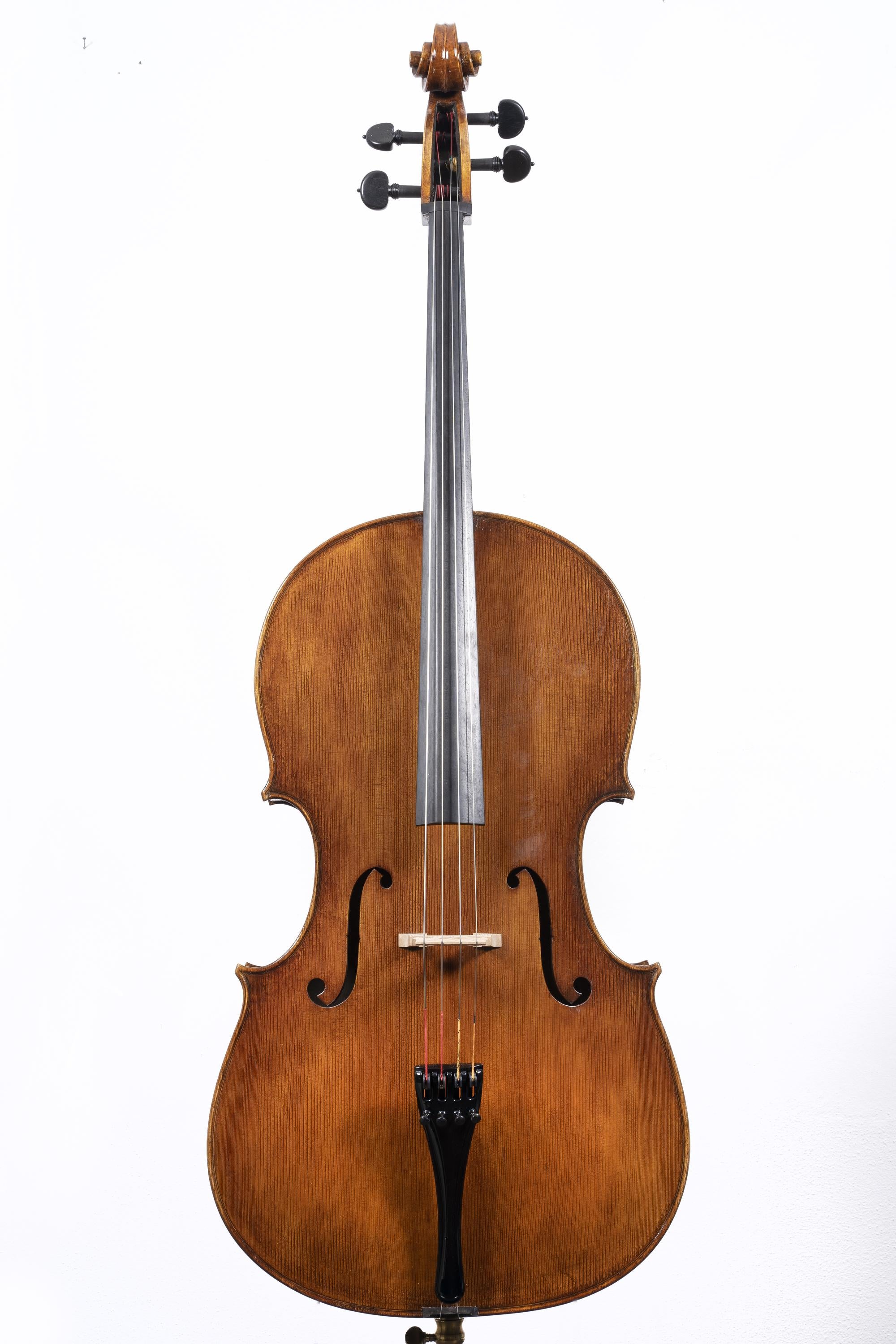 Immerse yourself in the enchanting world of the Paolo Vettori Cello ...