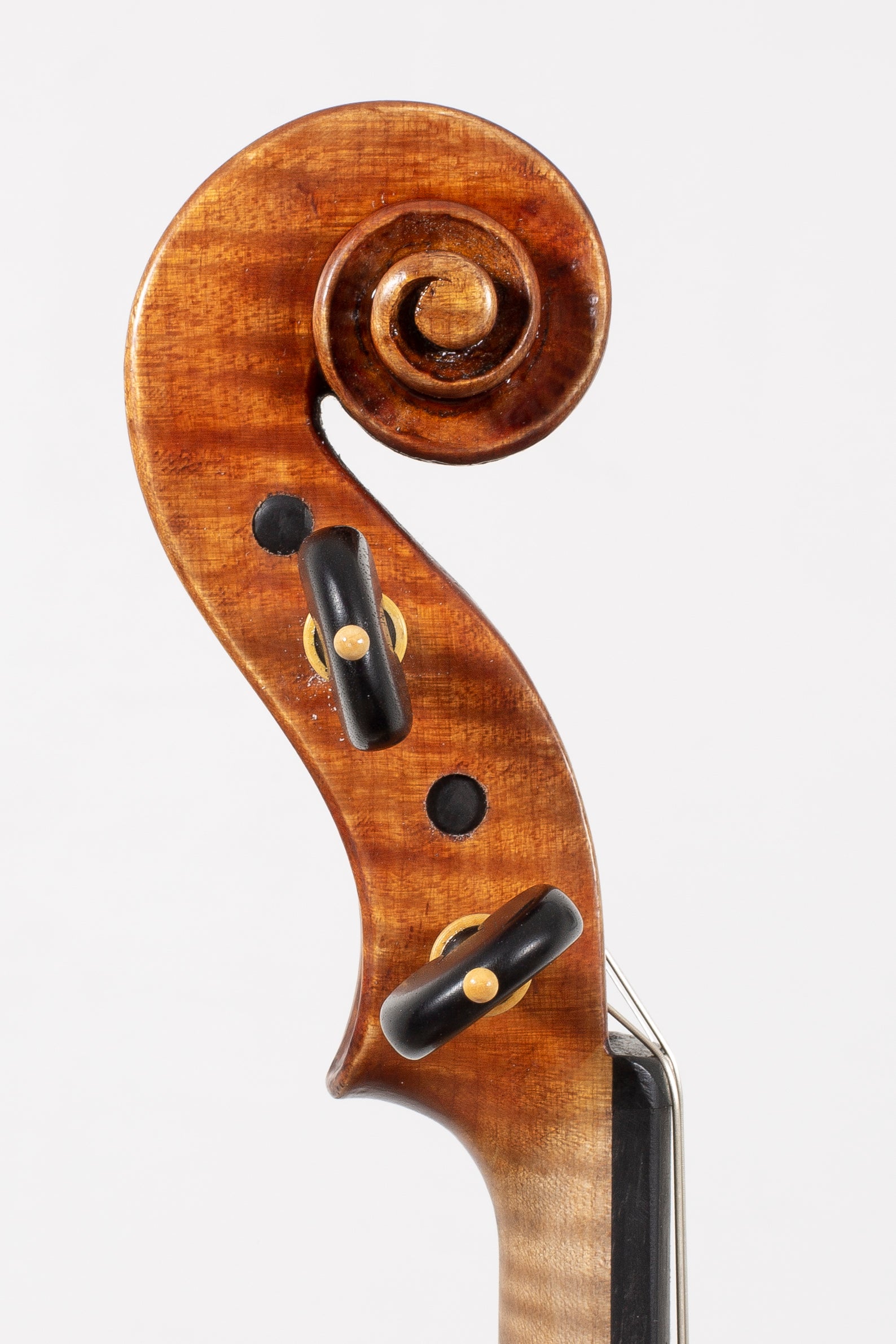 Vettori-Paolo-Violin-Mod-Guarneri-Del-Gesu-Cannone-2018-Closeup-2